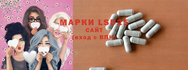 прущие грибы Балабаново