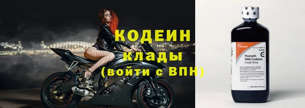прущие грибы Балабаново