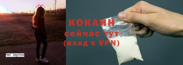 прущие грибы Балабаново