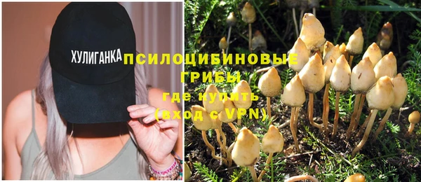 прущие грибы Балабаново