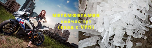 прущие грибы Балабаново