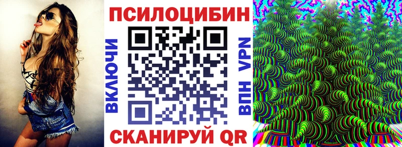 Галлюциногенные грибы Cubensis  Никольск 